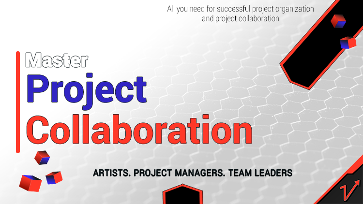 Master Project collaboration & organization